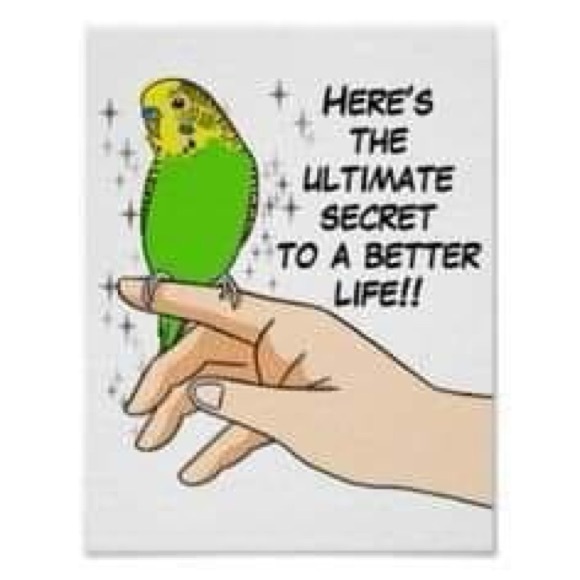 Meet your Posher, Tara - Picture 7 of 10